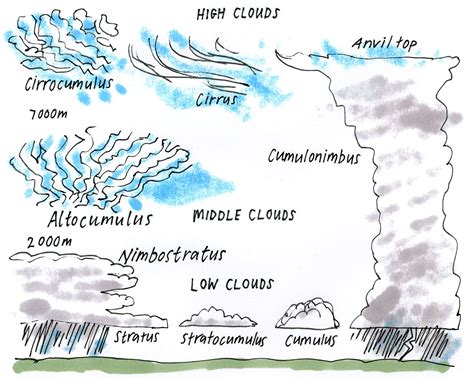 Types Of Clouds Worksheets Printable | and a larger version of theclouds diagram here . | Clouds ...