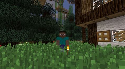 Steve Mod Minecraft Mod