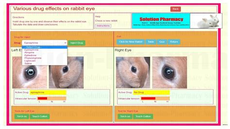 Mydriasis and Miosis Effect of Drug on Rabbit Eyes (हिंदी में ...