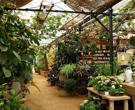 Petersham Nurseries: Richmond's Gorgeous Garden Centre Is Heaven