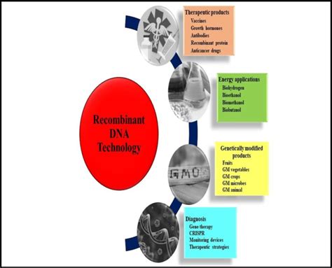 Applications of Recombinant DNA Technology | Download Scientific Diagram