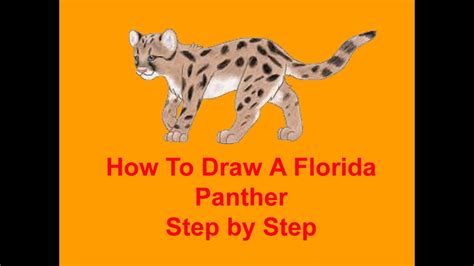 Florida Panther Drawing at PaintingValley.com | Explore collection of ...