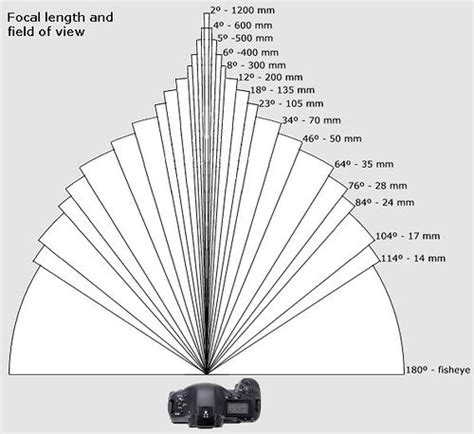field of view - Google Search | Photography basics, Photography tutorials, Photography techniques
