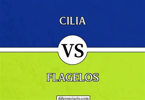 Diferencia entre cilios y flagelos