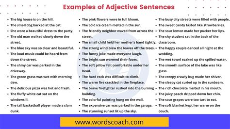 110+ Examples of Adjective Sentences in English - Word Coach