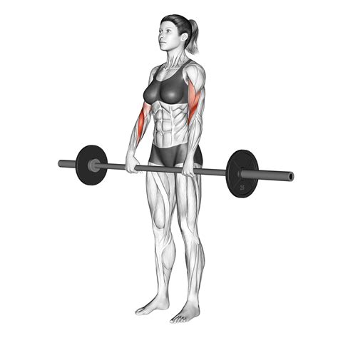 Barbell Wrist Curl: Benefits, Muscles Worked, and More - Inspire US