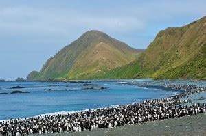 Macquarie Island