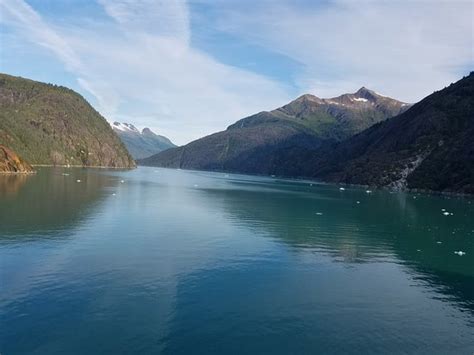 Tracy Arm Fjord (Juneau, AK): Top Tips Before You Go (with Photos) - TripAdvisor