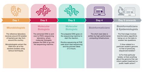 What is Whole Genome Sequencing? - Public health matters