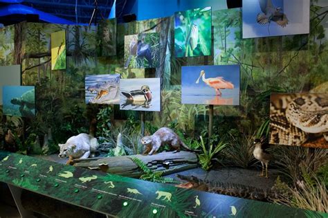 South Florida Science Center & Aquarium | Museum Exhibit Design | AST ...