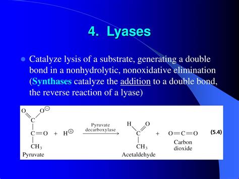 PPT - Properties of Enzymes PowerPoint Presentation, free download - ID:6052359