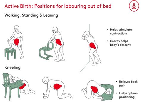 Active Childbirth (Positions For Labour) Chart Poster Laminated | ubicaciondepersonas.cdmx.gob.mx