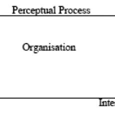 3.1. Model of the perceptual process | Download Scientific Diagram