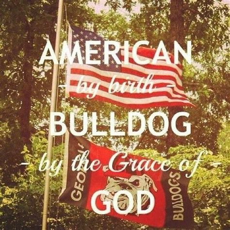 USA dawgs | Georgia dawgs, Georgia bulldogs, University of georgia