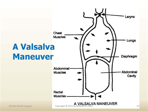 Valsalva Maneuver