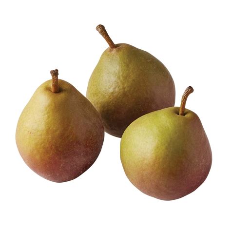 Different Types of Pears