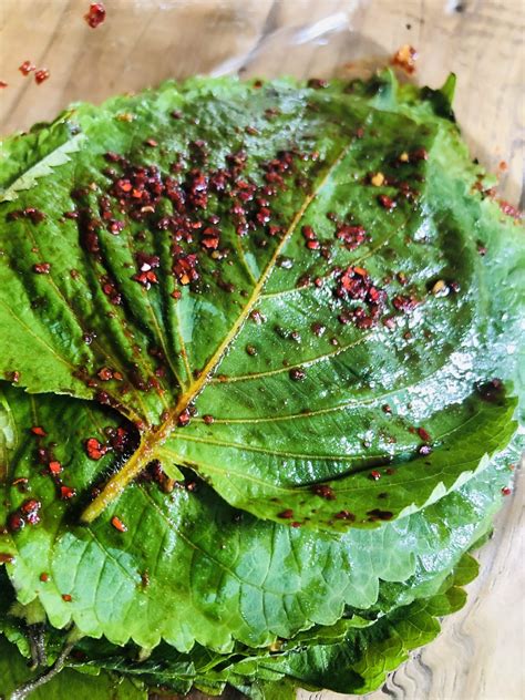 How To Make Incredible Marinated Korean Perilla Leaves! - Explore Cook Eat