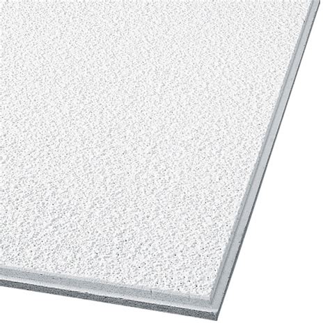 Shop Armstrong Supertuff Homestyle 12-Pack White Textured 15/16-in Drop Acoustic Panel Ceiling ...