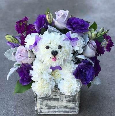 Carnation Dog Flower Arrangement : Sakura Tucson Creative Flower Arrangements, Bouquet ...