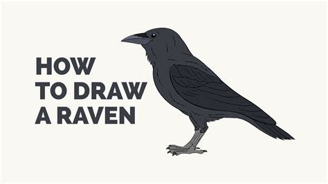 How to Draw a Raven - Easy Step-by-Step Drawing Tutorial - YouTube