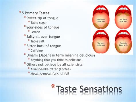 PPT - Sense of Taste PowerPoint Presentation, free download - ID:2132761