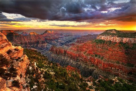 The Grand Canyon North Rim Evening Beauty! Stayed in a cabin here on our honeymoon.... | Grand ...