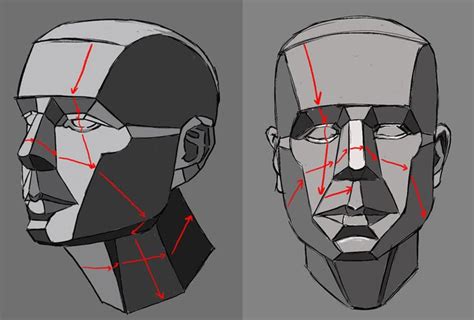 Planning Surface planes of head | Facial proportions, Planes of the face