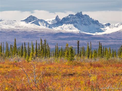 Top Photo Spots at Wrangell-St. Elias National Park and Preserve in 2024