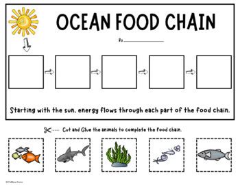 Ocean Food Chains - Activity and Word Wall Cards - Animal Food Chain