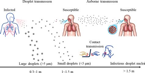 Airborne transmission of COVID‐19 virus in enclosed spaces: An overview ...