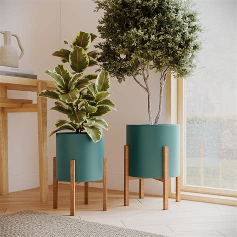 Large Indoor Planters | Wayfair