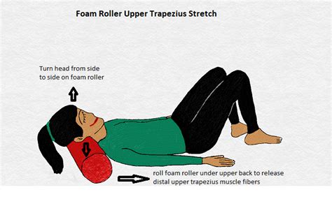 Upper Trapezius Stretch - StableMovement Physical Therapy