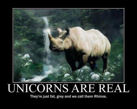 The best unicorn memes :) Memedroid