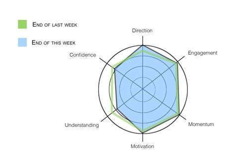 Spider web diagram | Spider web diagram, Diagram, Understanding