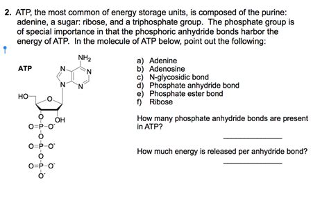 Solved 2. ATP, the most common of energy storage units, is | Chegg.com