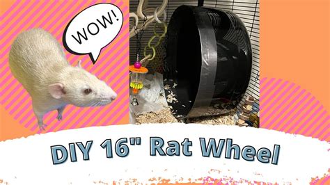 DIY 16" Rat Wheel - YouTube