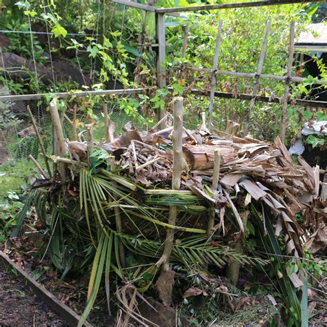 How to Make a Simple Compost Pile with Local Materials