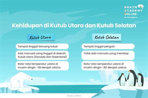 Kutub Utara dan Kutub Selatan, Apa Bedanya?