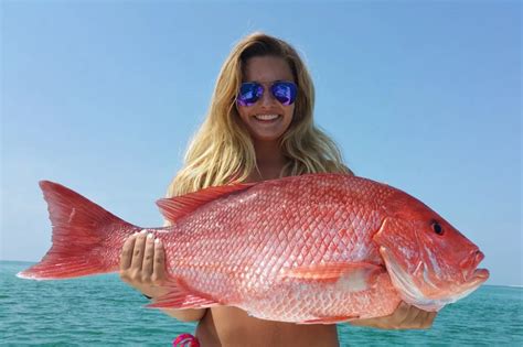 Red Snapper Season 2021: All You Need to Know | FishingBooker Blog | Red snapper season, Red ...