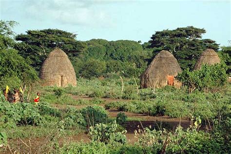 Ecología cultural: características, teorías, importancia