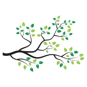 Tree Branch Vector Ilustration Design White Wood Growth Vector, White ...