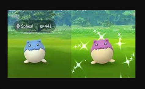 Is Spheal Shiny In Pokemon Go? Explained | BrunchVirals