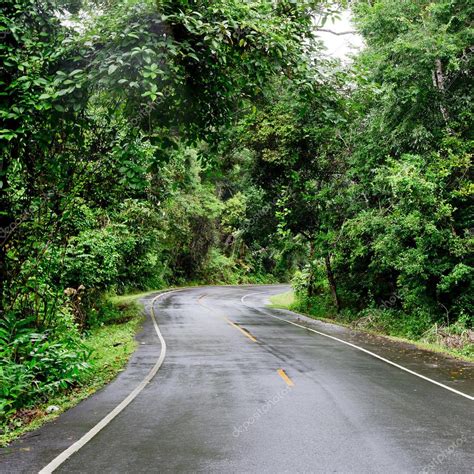 Winding Road Through a Forest — Stock Photo © art9858 #65657091