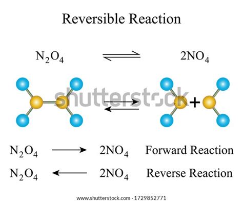 300 Reversible Reaction Images, Stock Photos & Vectors | Shutterstock