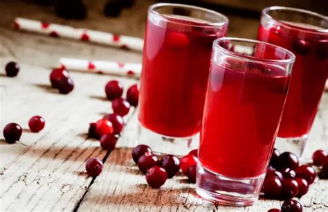 15 Top Cranberry Juice Brands | Brand Informers