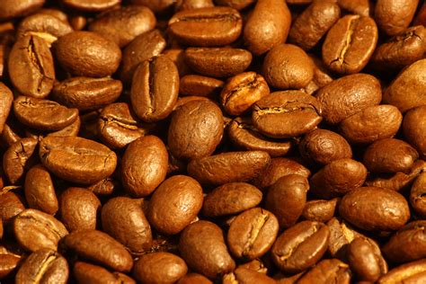 File:Medium roasted Arabica coffee beans.jpg - Wikipedia