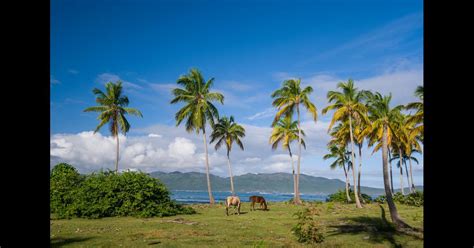 Samaná Hotels: Compare Hotels in Samaná from $10/night on KAYAK