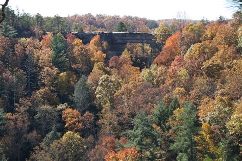 File:Natural Bridge State Park Kentucky.jpg - Wikipedia, the free ...