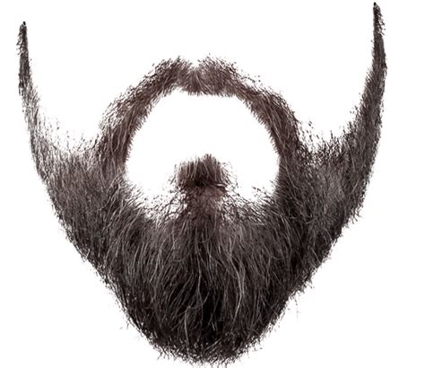 Barba PNG