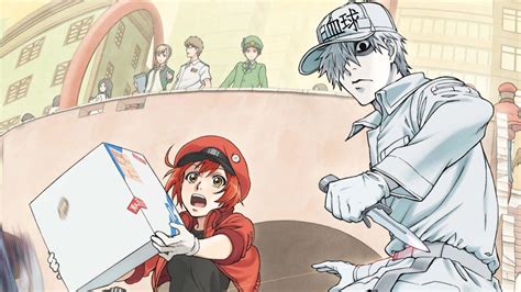 Cells At Work New Manga Gets A Release Date! Story, Launch & More